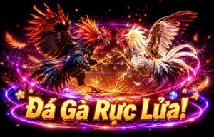 Sảnh Đá Gà xuxiaoxuan168